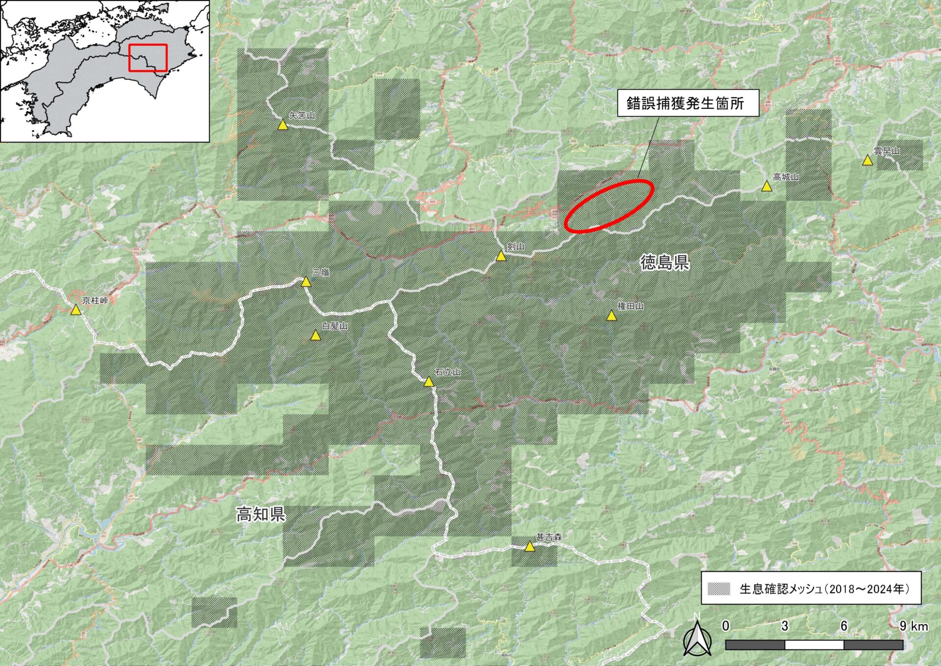 徳島県内で初めて確認されたツキノワグマの錯誤捕獲 - 四国