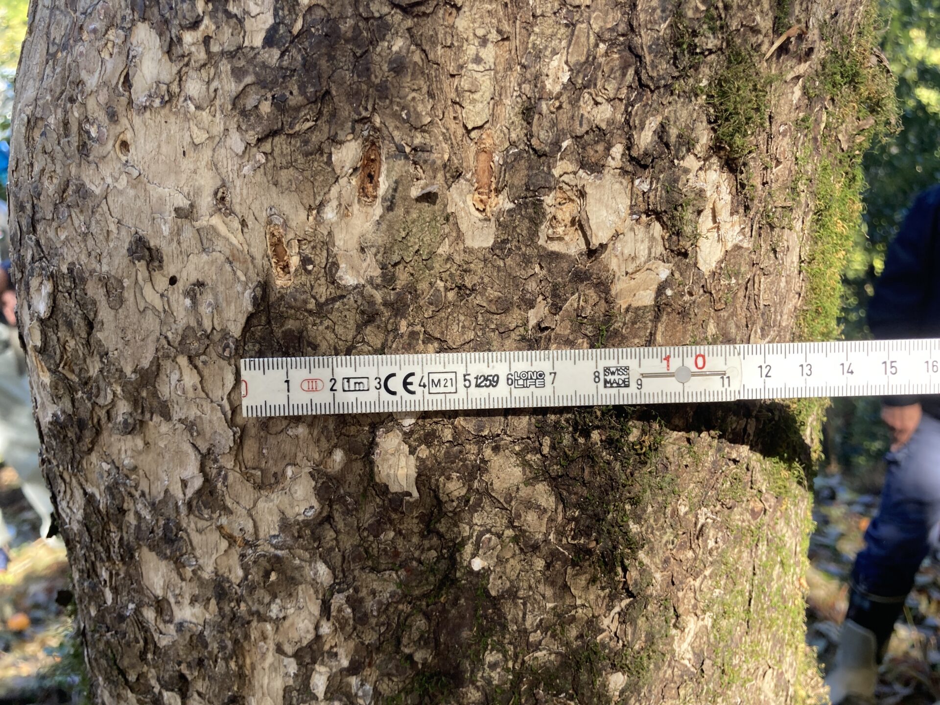 住民への注意喚起の様子